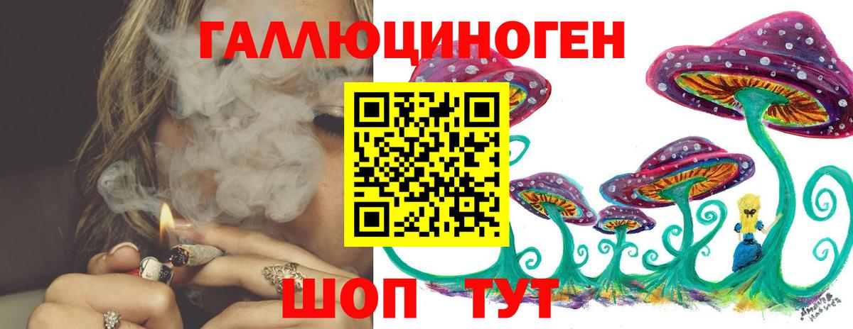Псилоцибиновые грибы Magic Shrooms  Псилоцибиновые грибы мицелий  Брянск  где купить наркотик  Вход с VPN 