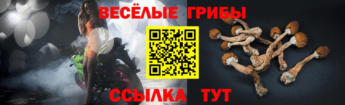 Галлюциногенные грибы Cubensis Брянск